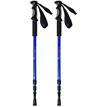 pair of hiking poles review